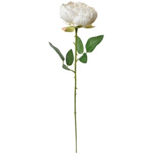 Clayre & Eef 6PL0366W Artificial Flower Rose White...