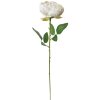 Clayre & Eef 6PL0366W Artificial Flower Rose White 8x8x62 cm