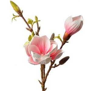 Clayre & Eef 5PL0128P Artificial flower 17x11x70 cm