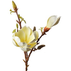 Clayre & Eef 5PL0128Y Artificial flower 17x11x70 cm