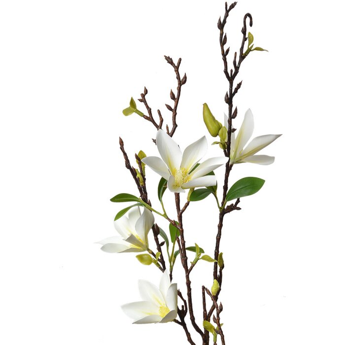 Clayre & Eef 5PL0129W Decoration Branch with White Flowers 15x7x84 cm