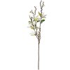 Clayre & Eef 5PL0129W Decoration Branch with White Flowers 15x7x84 cm