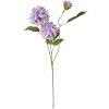 Clayre & Eef 5PL0130PA Artificial Flower Purple 17x10x70 cm