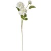 Clayre & Eef 5PL0130W Artificial Flower White 17x10x70 cm