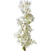 Clayre & Eef 5PL0131W Decoration Branch with Flowers White 16x8x98 cm