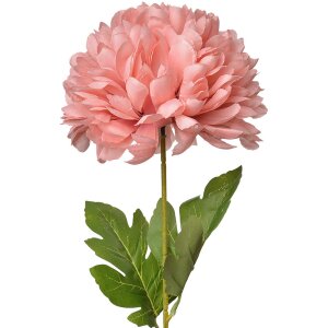 Clayre & Eef 5PL0133P Artificial Flower Pink 15x15x80 cm