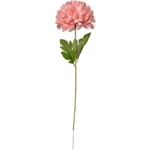 Clayre & Eef 5PL0133P Artificial Flower Pink 15x15x80 cm