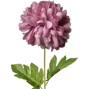 Clayre & Eef 5PL0133PA Artificial Flower Purple...