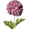 Clayre & Eef 5PL0133PA Artificial Flower Purple 15x15x80 cm