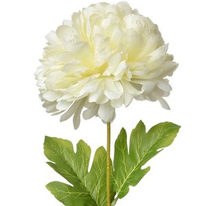 Clayre & Eef 5PL0133W Artificial Flower White...