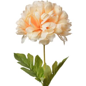 Clayre & Eef 5PL0133Y Artificial flower 15x15x80 cm