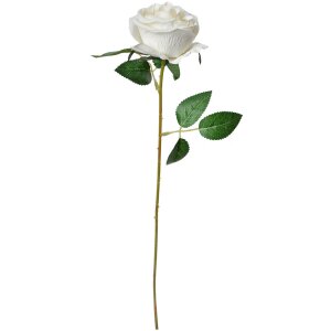 Clayre & Eef 6PL0359W Artificial flower rose 8x8x50 cm