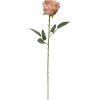 Clayre & Eef 6PL0369CH Artificial Flower Rose 9x9x61 cm