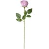 Clayre & Eef 6PL0369LPA Artificial Flower Rose Purple 9x9x61 cm