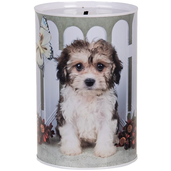 Clayre & Eef 6BL0163 Money Box Dog Ø 10x15 cm White Brown