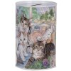 Clayre & Eef 6BL0169 Money box country style cat motif Ø 8x13 cm