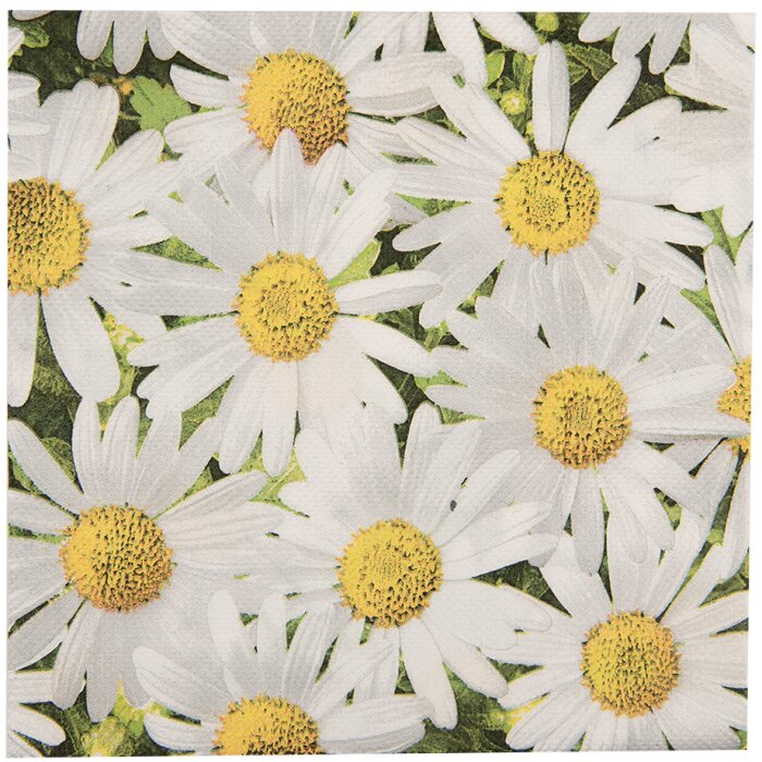 Clayre & Eef 73076 Paper napkins daisies 33x33 cm 20 pieces