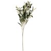 Clayre & Eef 6PL0371 Decorative Branch Olive Green 10x10x55 cm