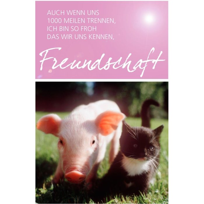 Card Friendship Piglet