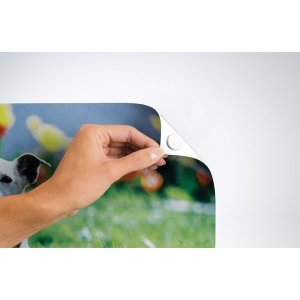 adhesive pads by Herma for your pictures, 48 pads