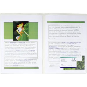 10 Pack presentation folders PP 200?, double-sided with 2...