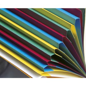 Assortment folder with elastic A4 assorted colors