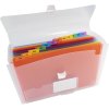 Subjects folder with handle and 13 colored compartments Crystal, for A4 Transparent white