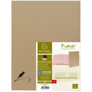 signature file 22209E - 20 pockets Kraft brown