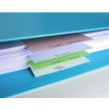 Pack 100 separating strips punched from recycled cardboard 190g Forever, 105x142mm assorted colors