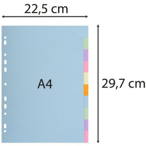 FOREVER register 180g DIN A4 separation cards