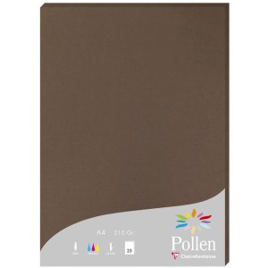 Paper A4 pollen 210g brown 25 sheets