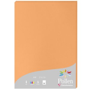 Paper A4 pollen 210g Clementine 25 sheets