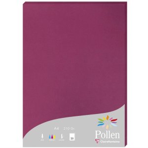 Paper A4 pollen 210g raspberry 25 sheets