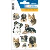 Stickers Dogs  DECOR, self adhesive