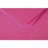 Pack 25 cards pollen, dl 106x213mm, 210g fuchsia