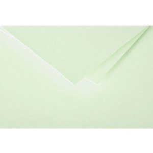 Pack 25 cards pollen, dl 106x213mm, 210g green