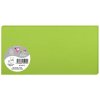 Pack 25 cards pollen, dl 106x213mm, 210g mint