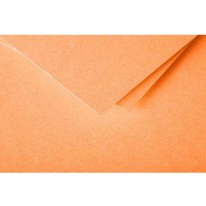 20 envelope pollen 75x100 mm ntine 120g