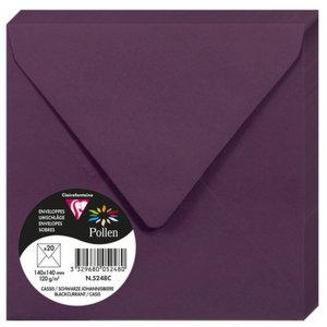 20 envelope pollen 140x140 mm assis 120g