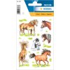 Stickers HORSES - self adhesive, DECOR