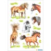 Stickers HORSES - self adhesive, DECOR