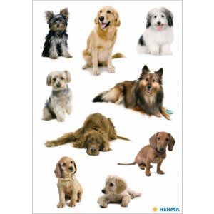 Beautiful stickers with dogs - self adhesive, DECOR