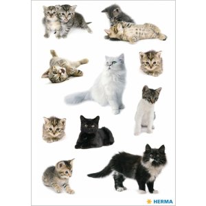 Beautiful stickers with cats - self adhesive, DECOR