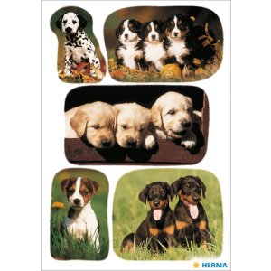 HERMA decorative labels "Puppies II" - DECOR