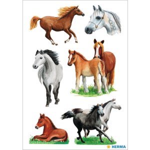 decorative labels "Horses II" - DECOR