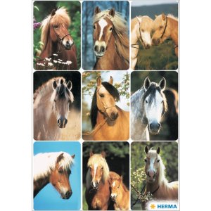 decorative labels "Horses" - DECOR