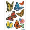 decorative labels "Butterflies" - DECOR