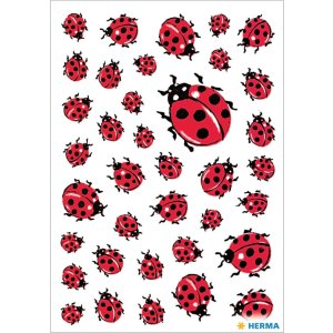 decorative labels "Ladybug" - DECOR