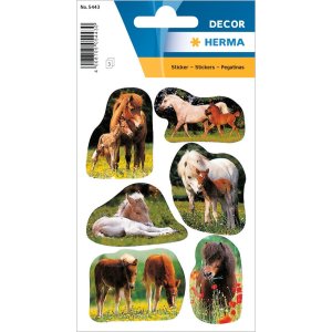 decorative labels "Foals" - DECOR