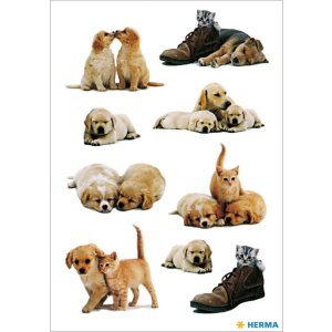 decorative labels "Puppies" - DECOR